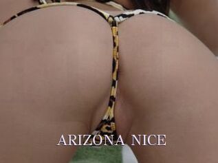 ARIZONA_NICE