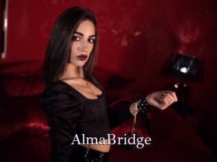 AlmaBridge