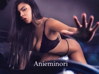 Anieminori