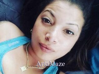 Aria_Maze