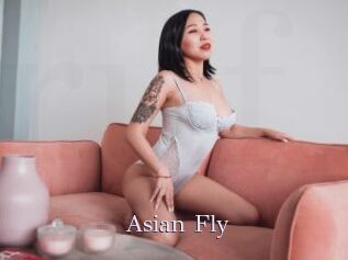 Asian_Fly