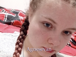 Agnesevan