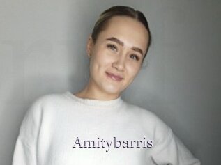 Amitybarris