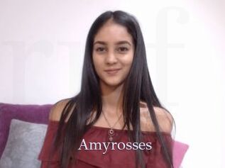 Amyrosses