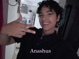 Anashus