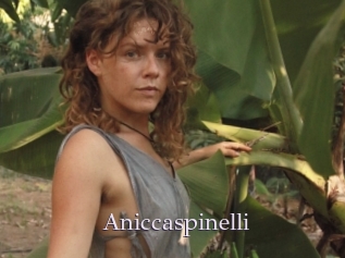 Aniccaspinelli