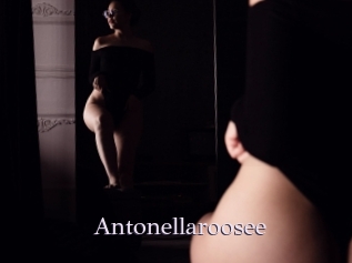 Antonellaroosee