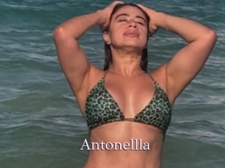 Antonellla