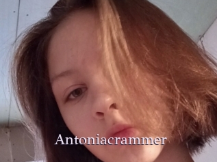 Antoniacrammer