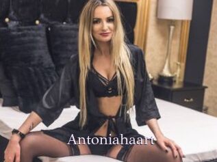 Antoniahaart