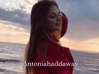 Antoniahaddaway