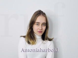 Antoniaharbold