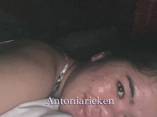 Antoniarieken