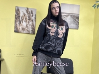 Ashleybeese