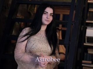 Astrobee