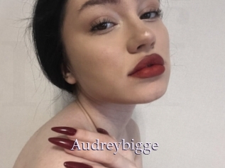 Audreybigge