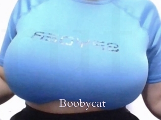 Boobycat