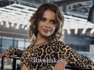 Breehakes
