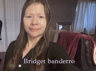 Bridget_banderro