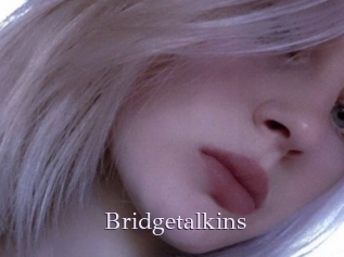 Bridgetalkins