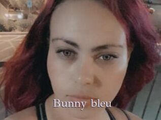 Bunny_bleu