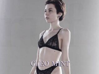 CLEO_MINT