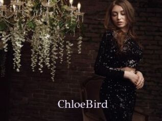 ChloeBird