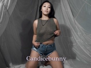 Candicebunny