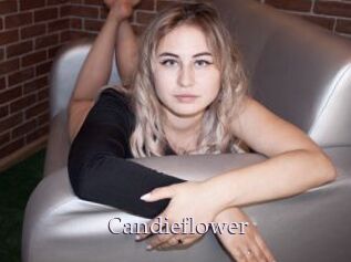 Candieflower