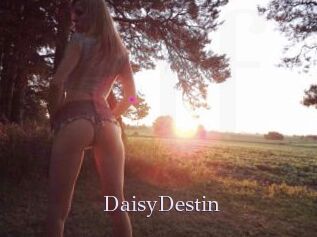 DaisyDestin