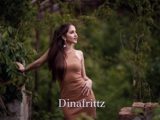 Dinafrittz