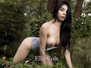 EllieColt