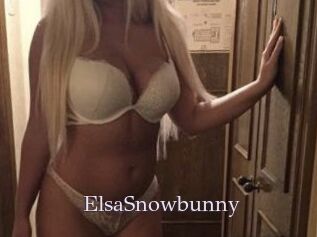 ElsaSnowbunny