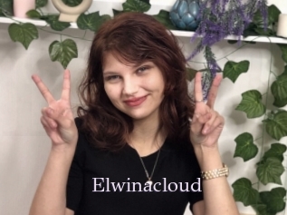 Elwinacloud