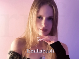 Emiliabush