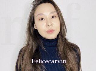 Felicecarvin
