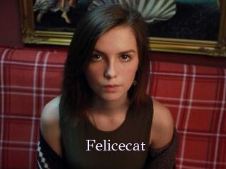 Felicecat