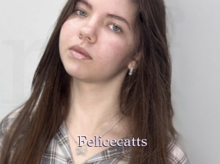 Felicecatts