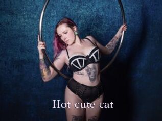 Hot_cute_cat