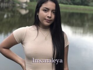 Imcataleya