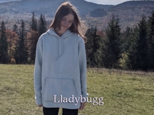 Lladybugg