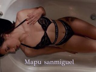 Mapu_sanmiguel