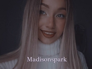 Madisonspark