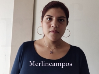 Merlincampos