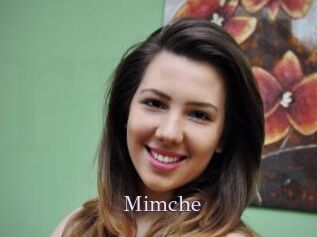 Mimche