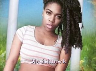 Modelmook