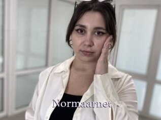 Normaarnet