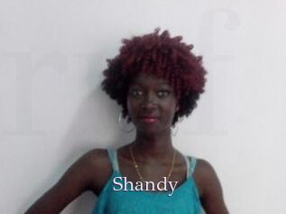 Shandy