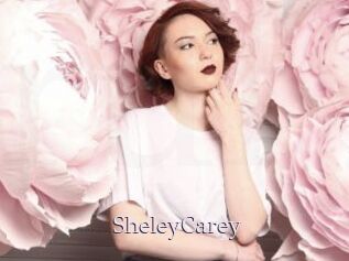 SheleyCarey