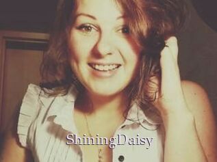 ShiningDaisy